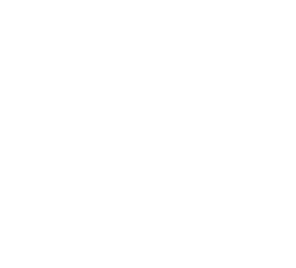 ncc - 75过山车white2——大奖章.png