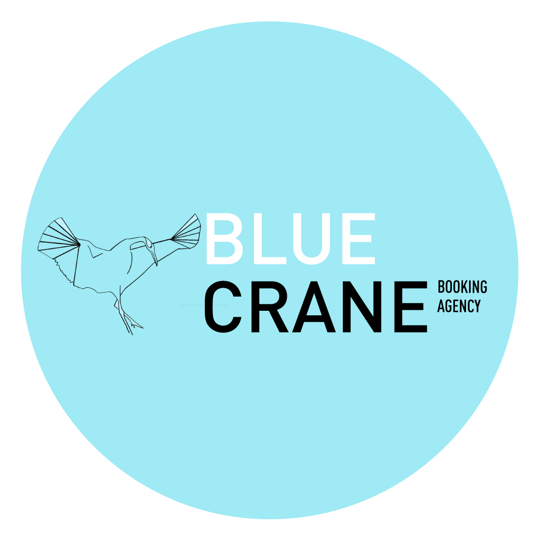 Blue Crane 