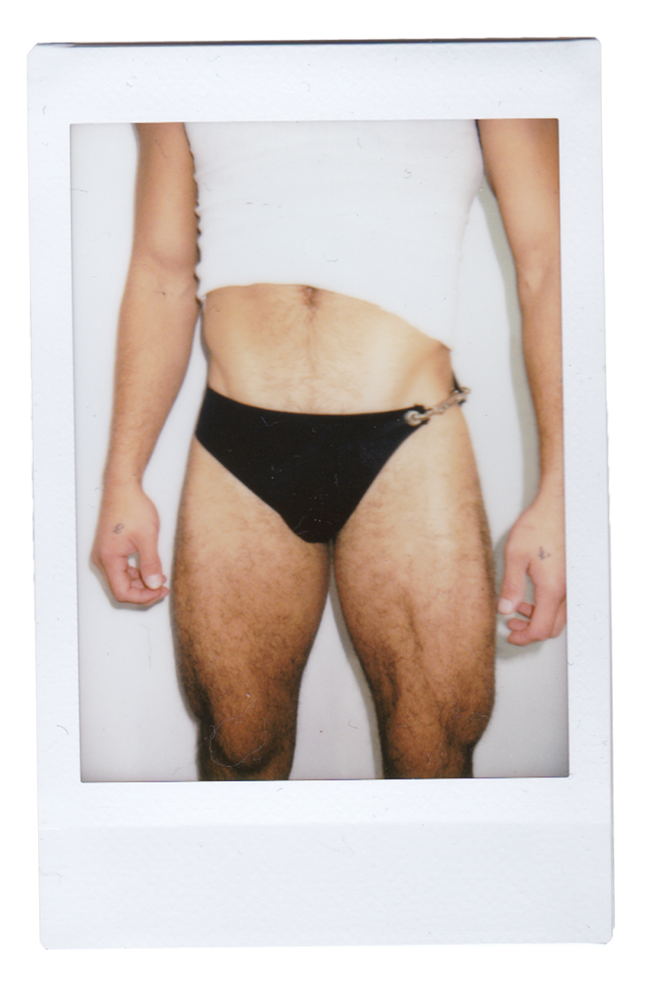 men's speedo swim briefs