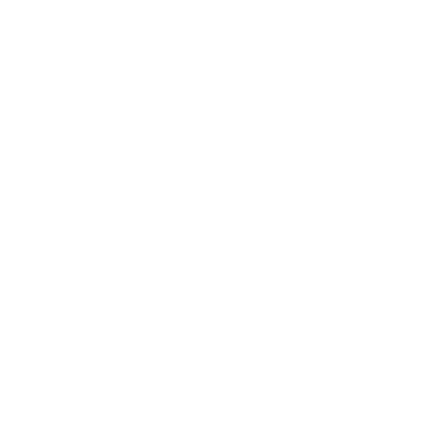 Pro Flies Unlimited