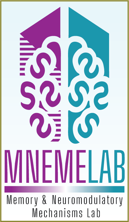 The MNEME Lab