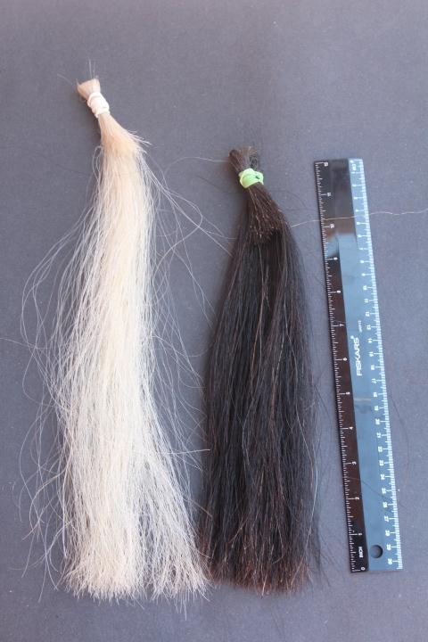 Horse Hair Bundle — Claw, Antler & Hide Co.