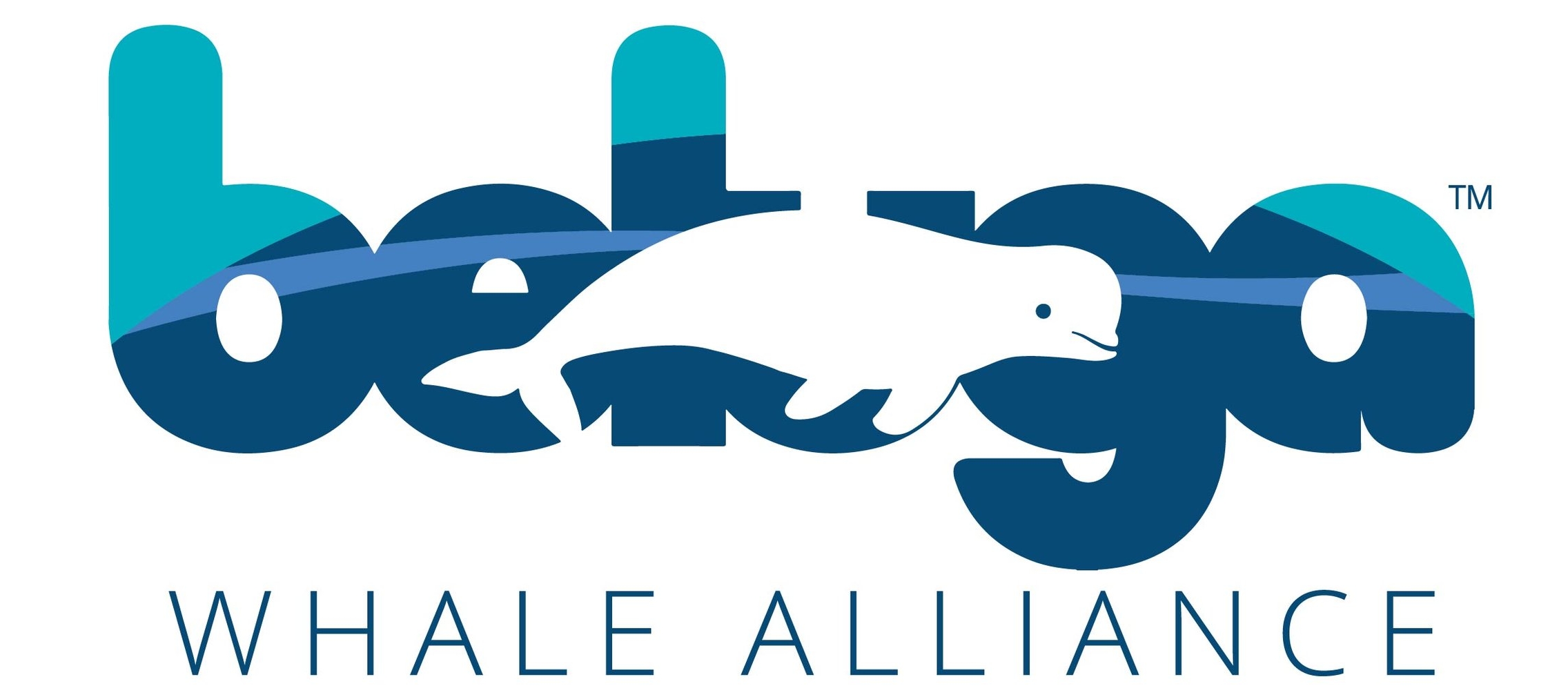  Beluga Whale Alliance