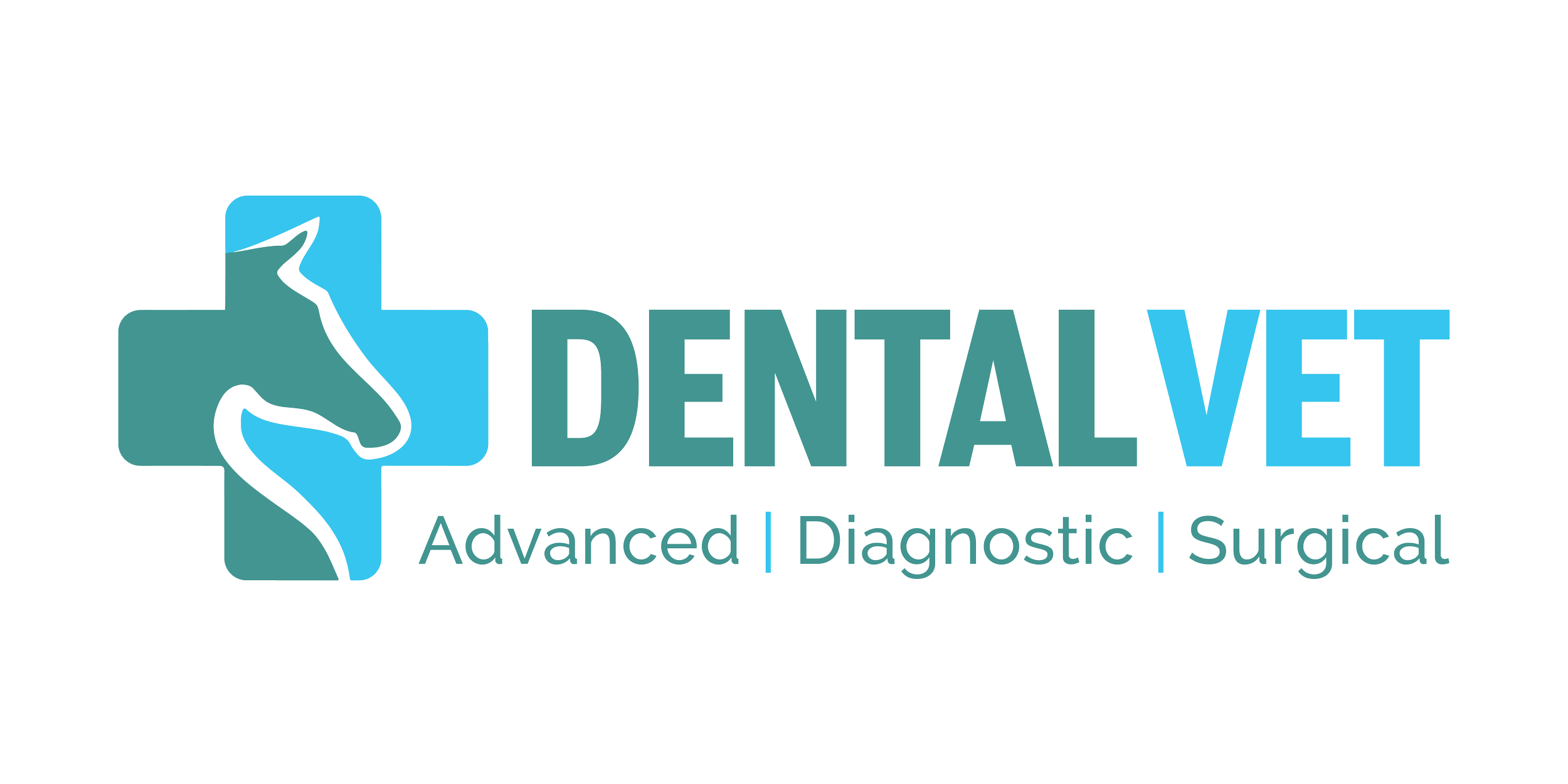 The Dental Vet - Equine Dentistry