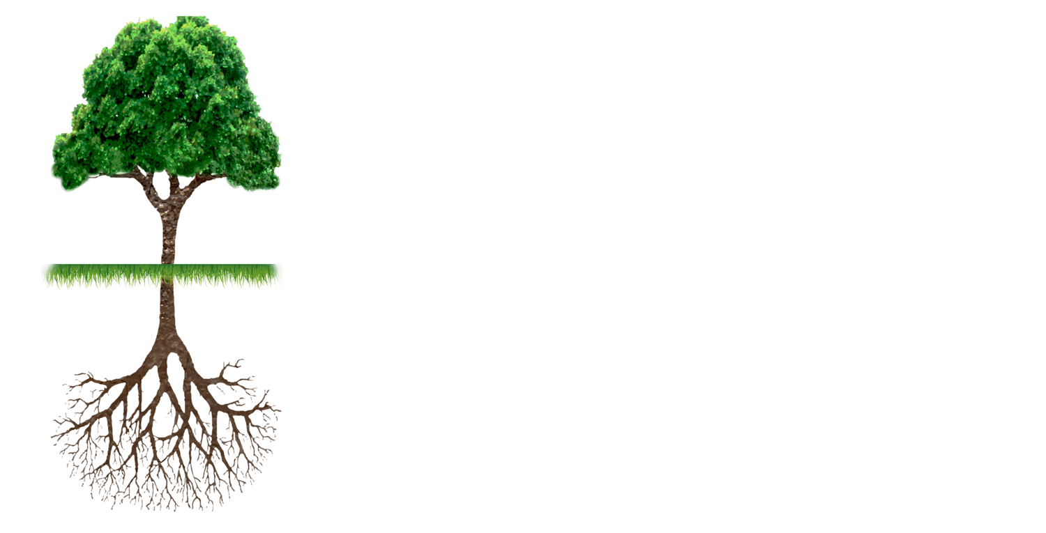 TLC Lawn & Landscape, LLC