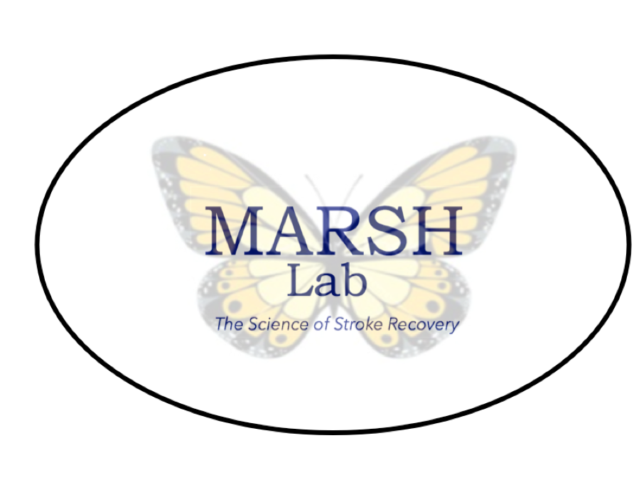Marsh Lab
