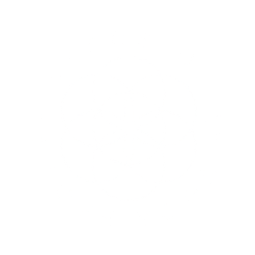 Seeds Of Love Yoga