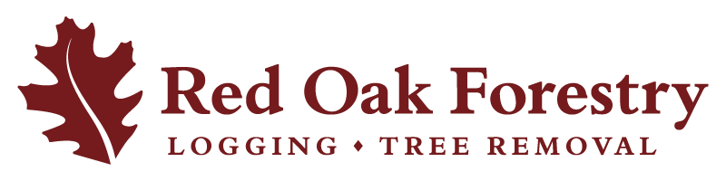 Red Oak Forestry