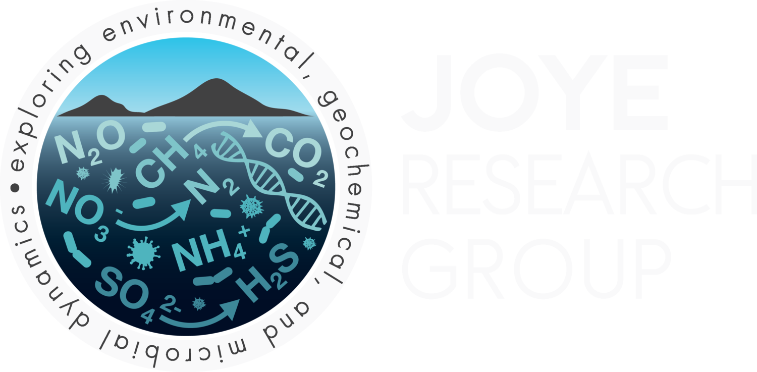 Joye Research Group