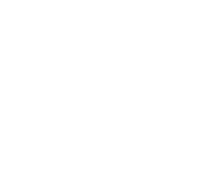 Academy of Lions