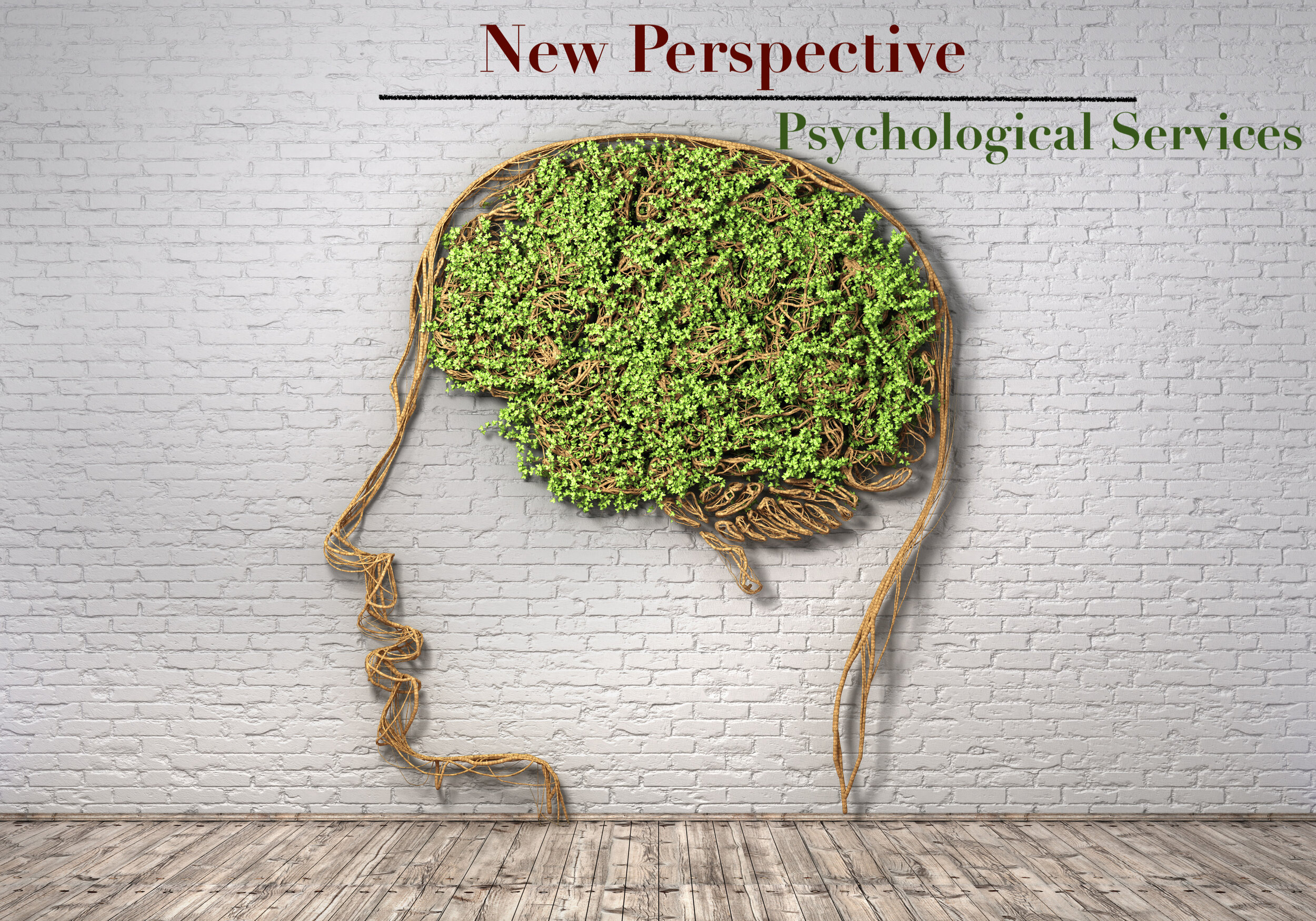 New Perspective Psychological Services