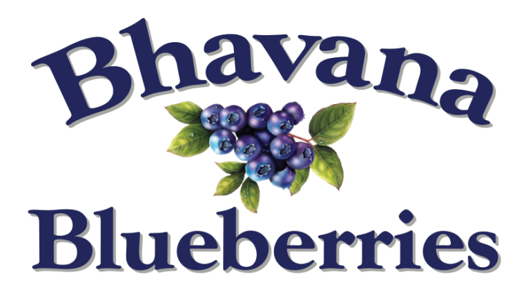 Bhavana Berries 