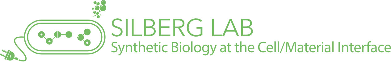 SILBERG LAB