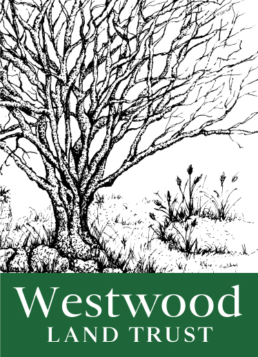 Westwood Land Trust