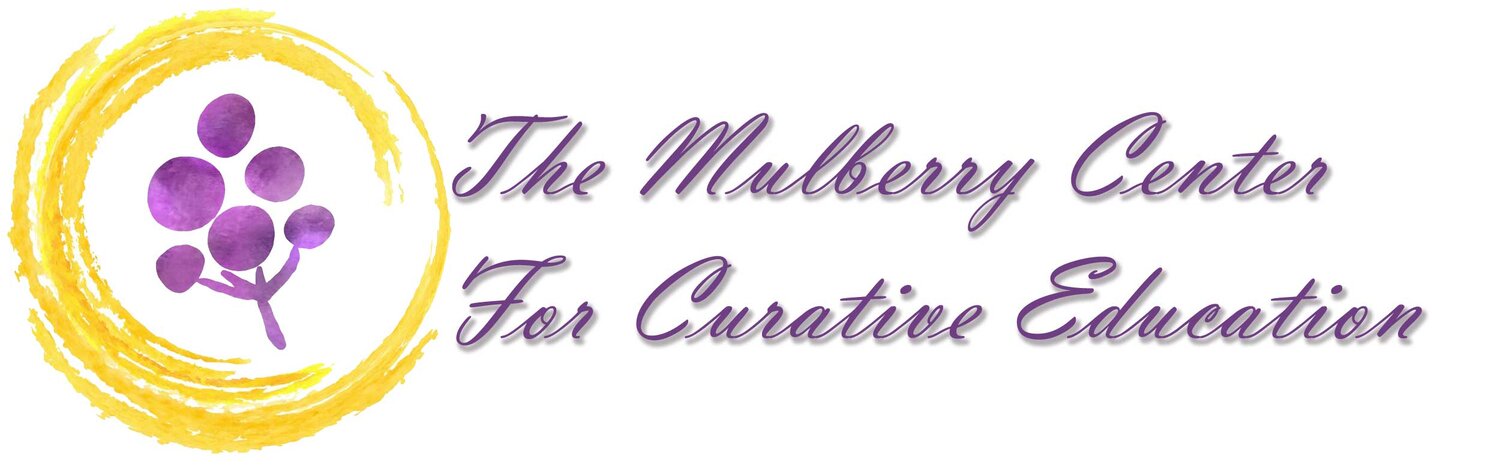 The Mulberry Center for Curative Education