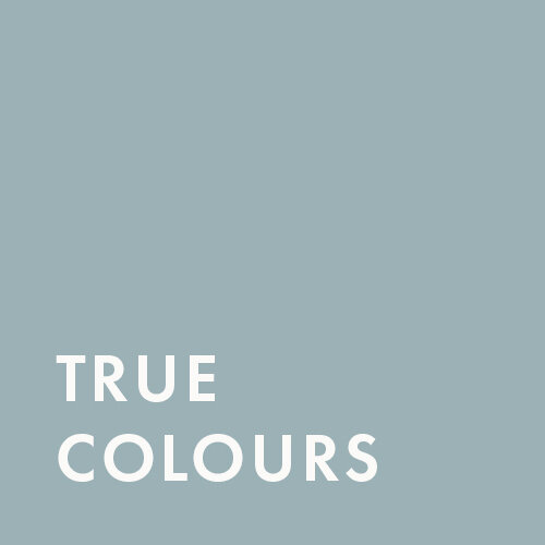 True Colours Consulting