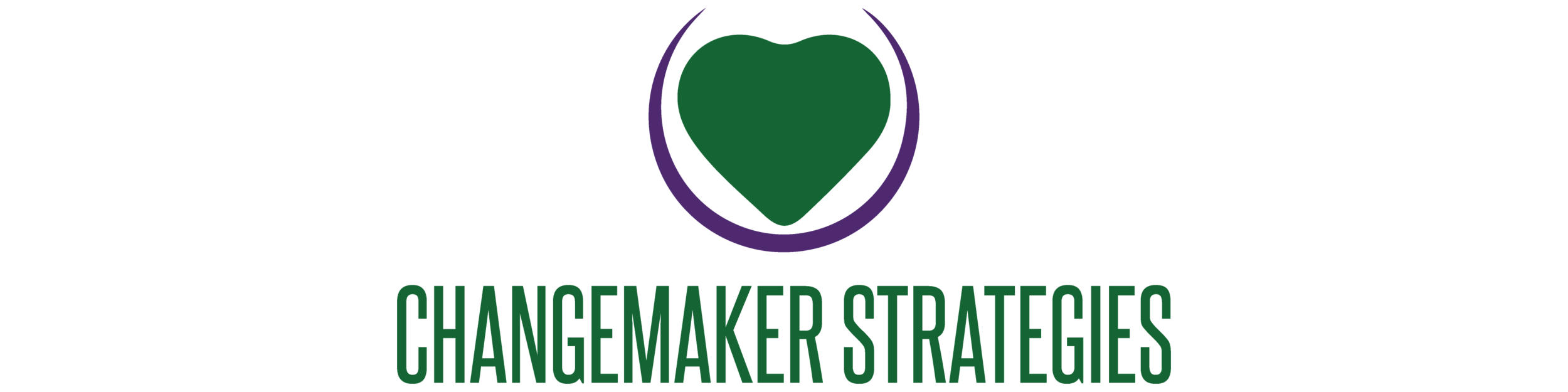 Changemaker Strategies