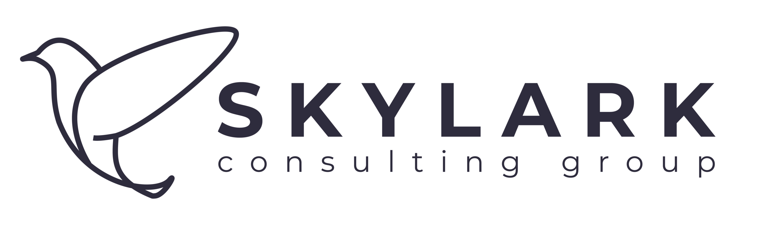 Skylark Consulting Group