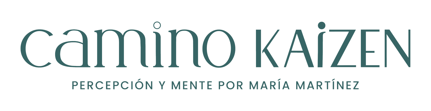 Camino Kaizen