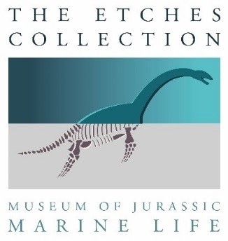 The Etches Collection