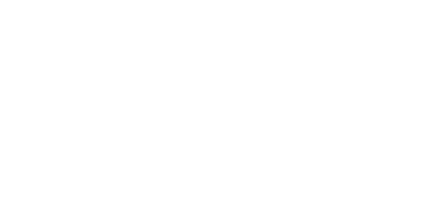 Olli Salumeria logo