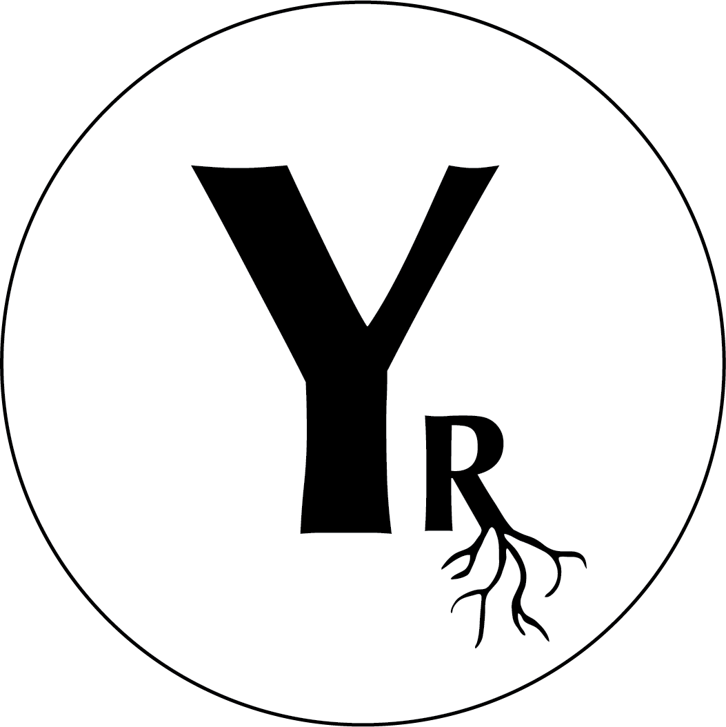 The Yoga Root