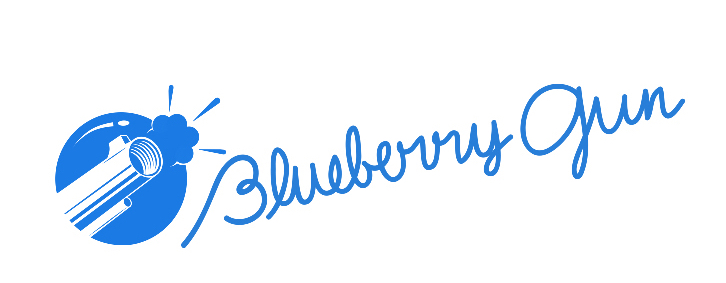 BlueberryGun