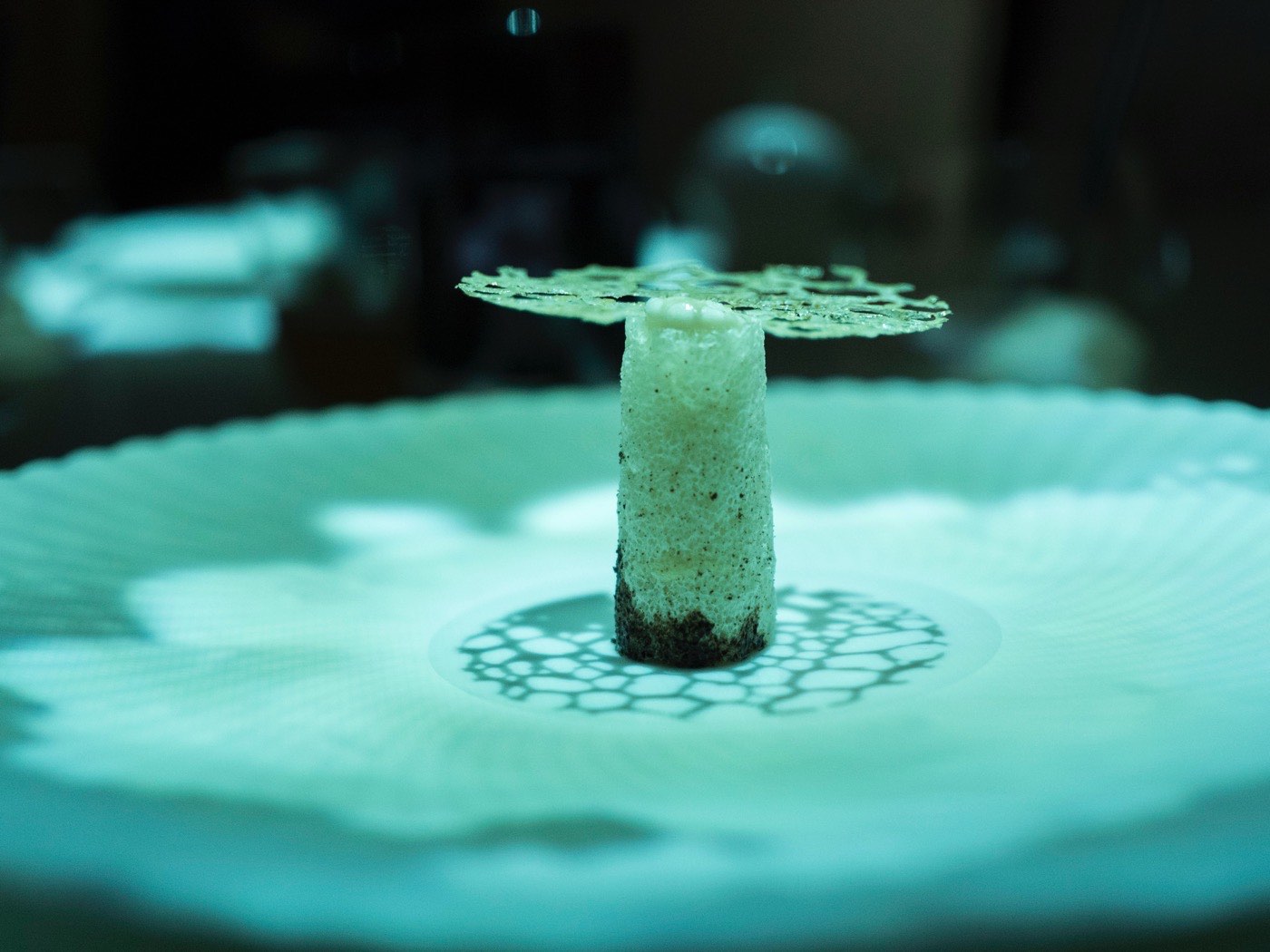 紫外线-lunar-mushroom.jpeg