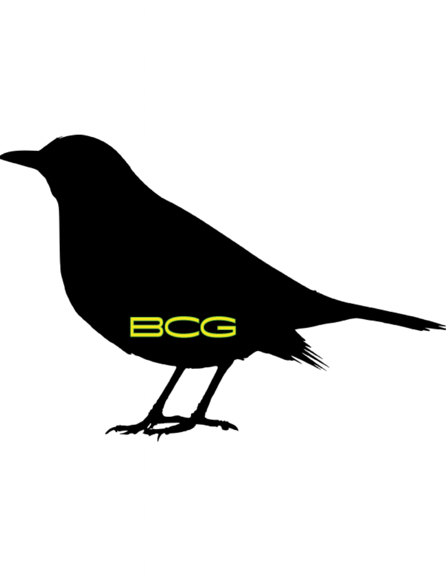 Blackbird Consulting Group