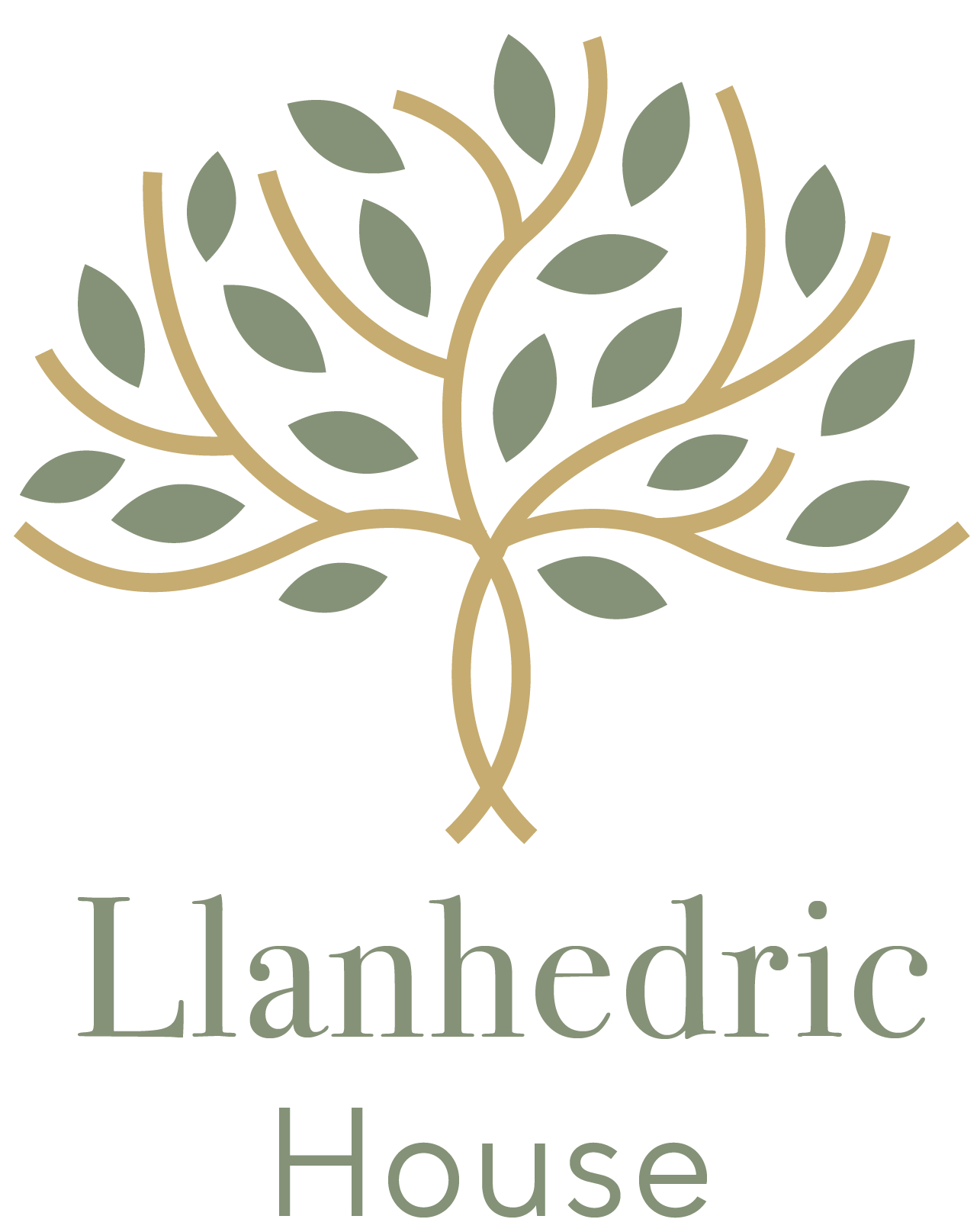 Llanhedric House 