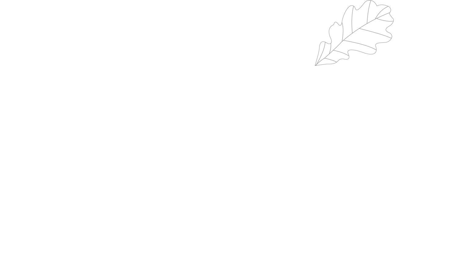 Re-Elect Mayor Kevin Zabel