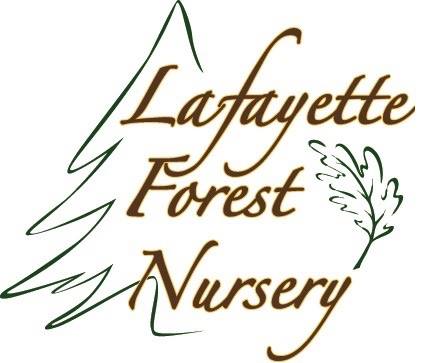 Lafayette Forest Nursery