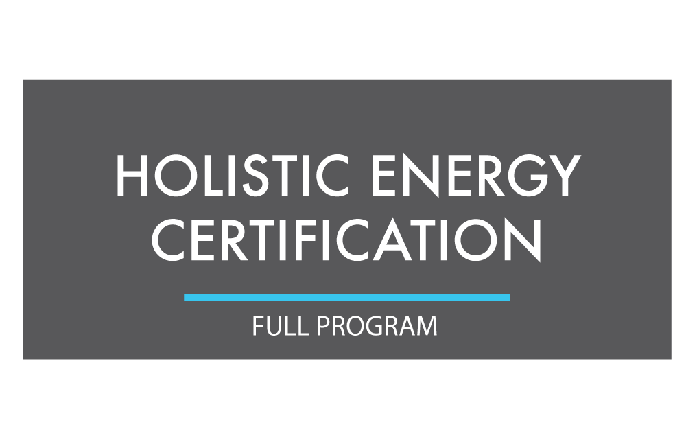 Certified Holistic Energy Healing Full Program Healing In America