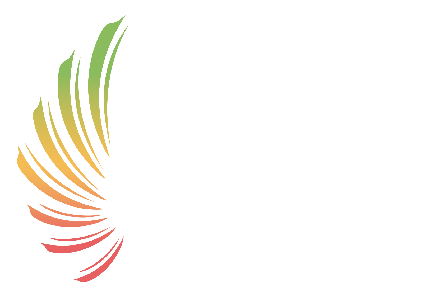 Mettle Crisis Leaders