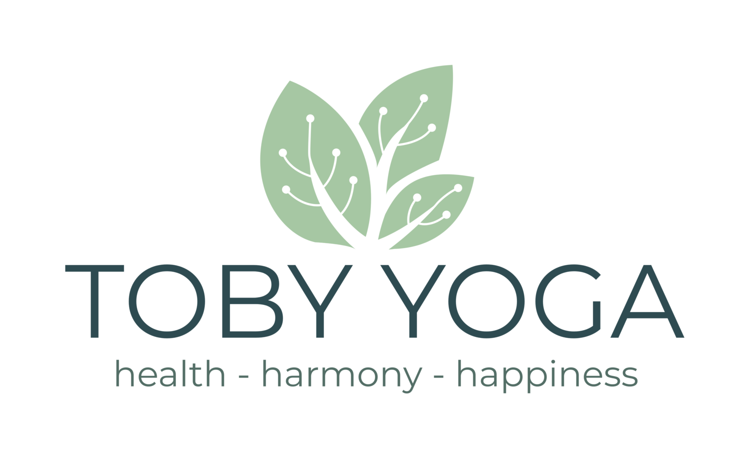 Toby Yoga - Yoga & meditation in Sheffield, South Yorkshire