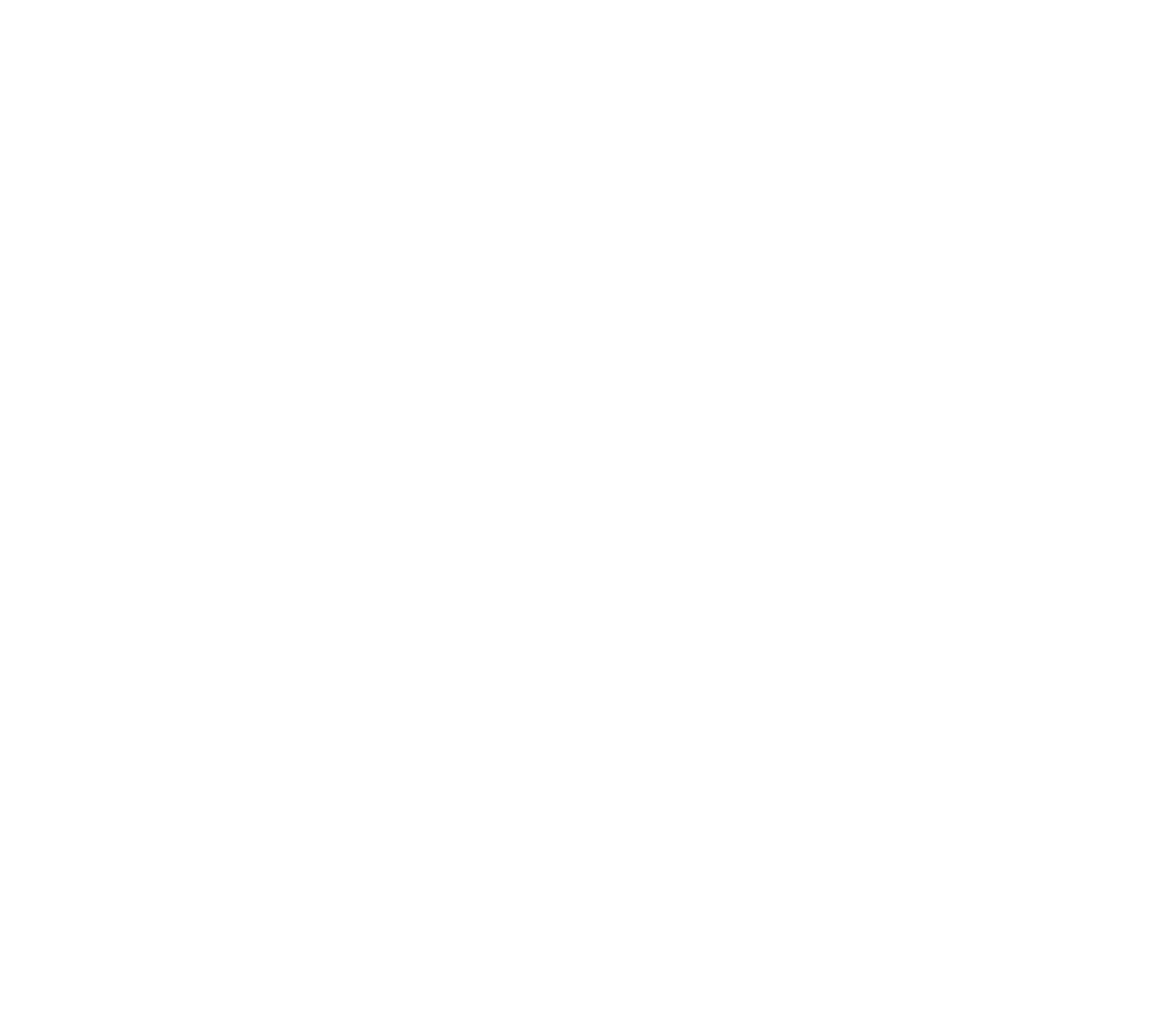 株式会社 SKYS