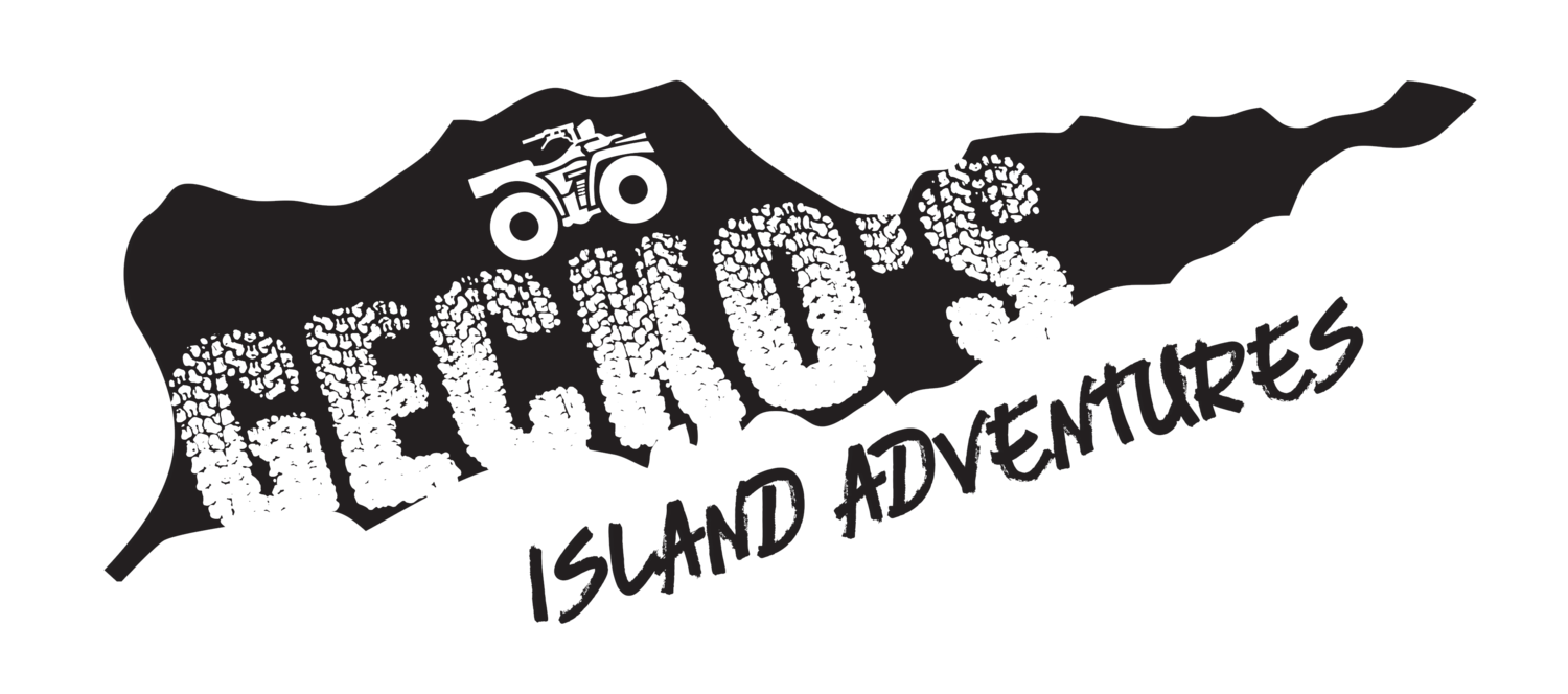 Gecko's Island Adventure