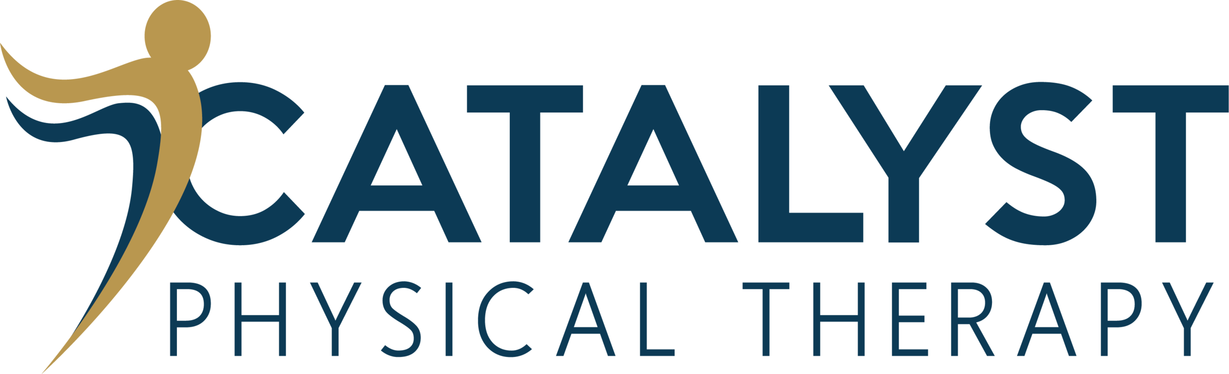 Catalyst Physical Therapy 
