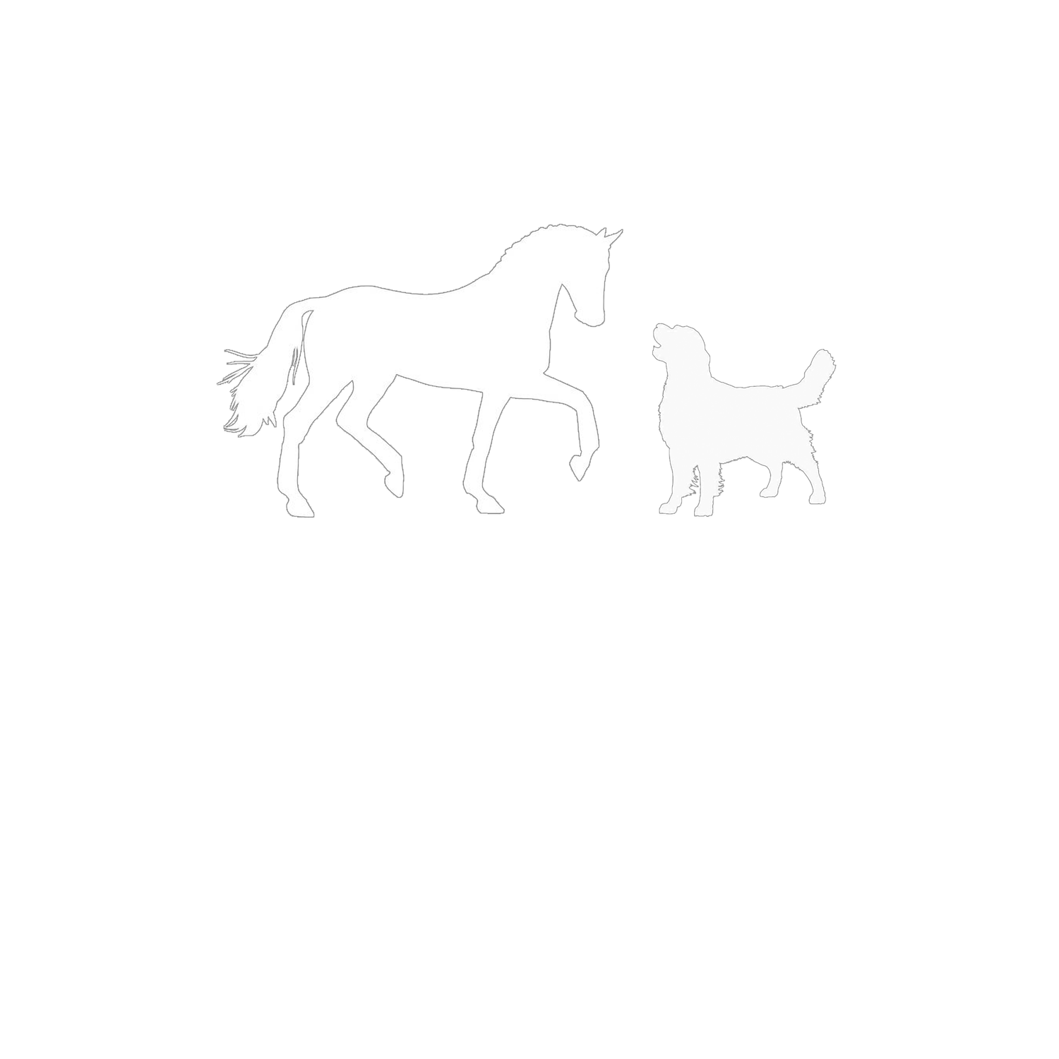 J.Klein Photos