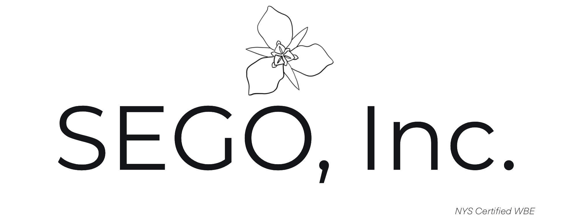 SEGO, Inc.