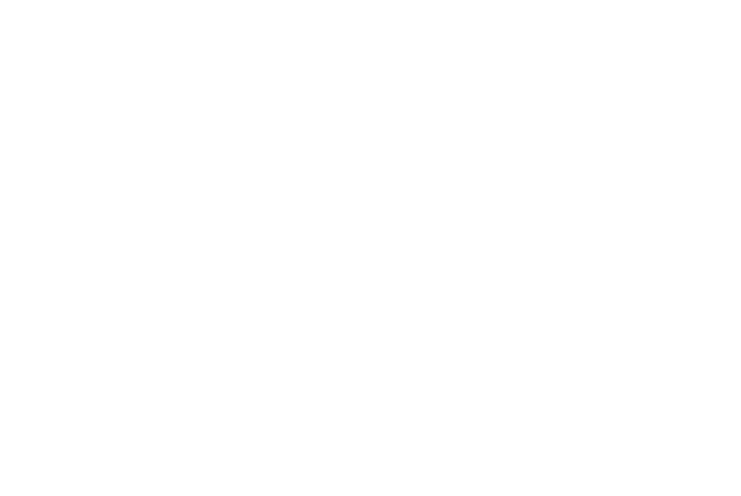 Fadezeindli