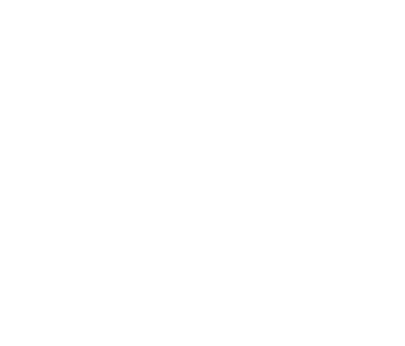 XD Invest
