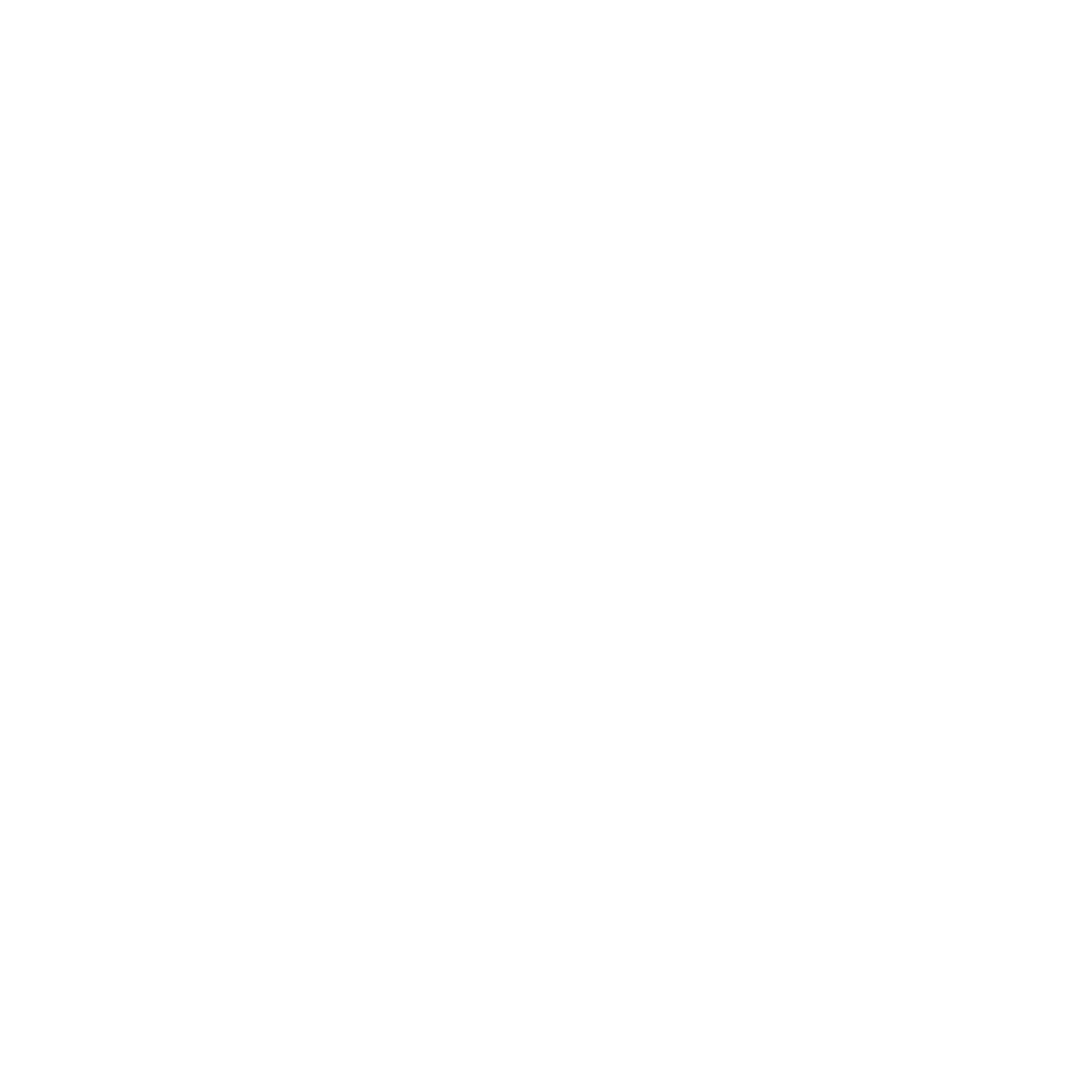 The Wholistic Connection