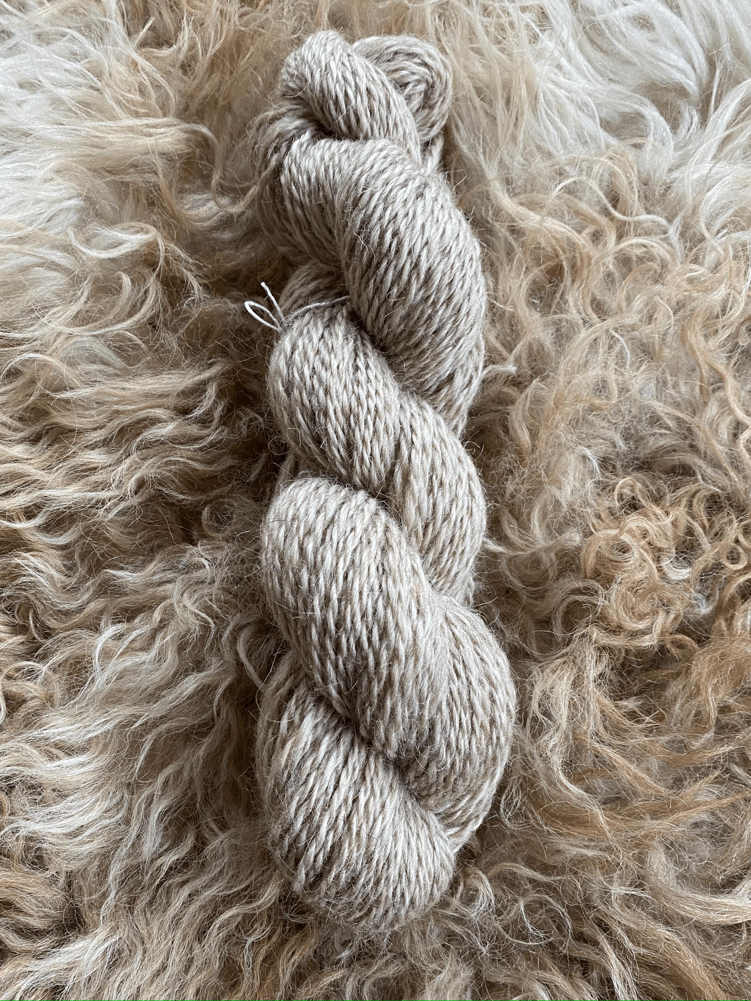 Churro Rug Yarn, Limited Collection