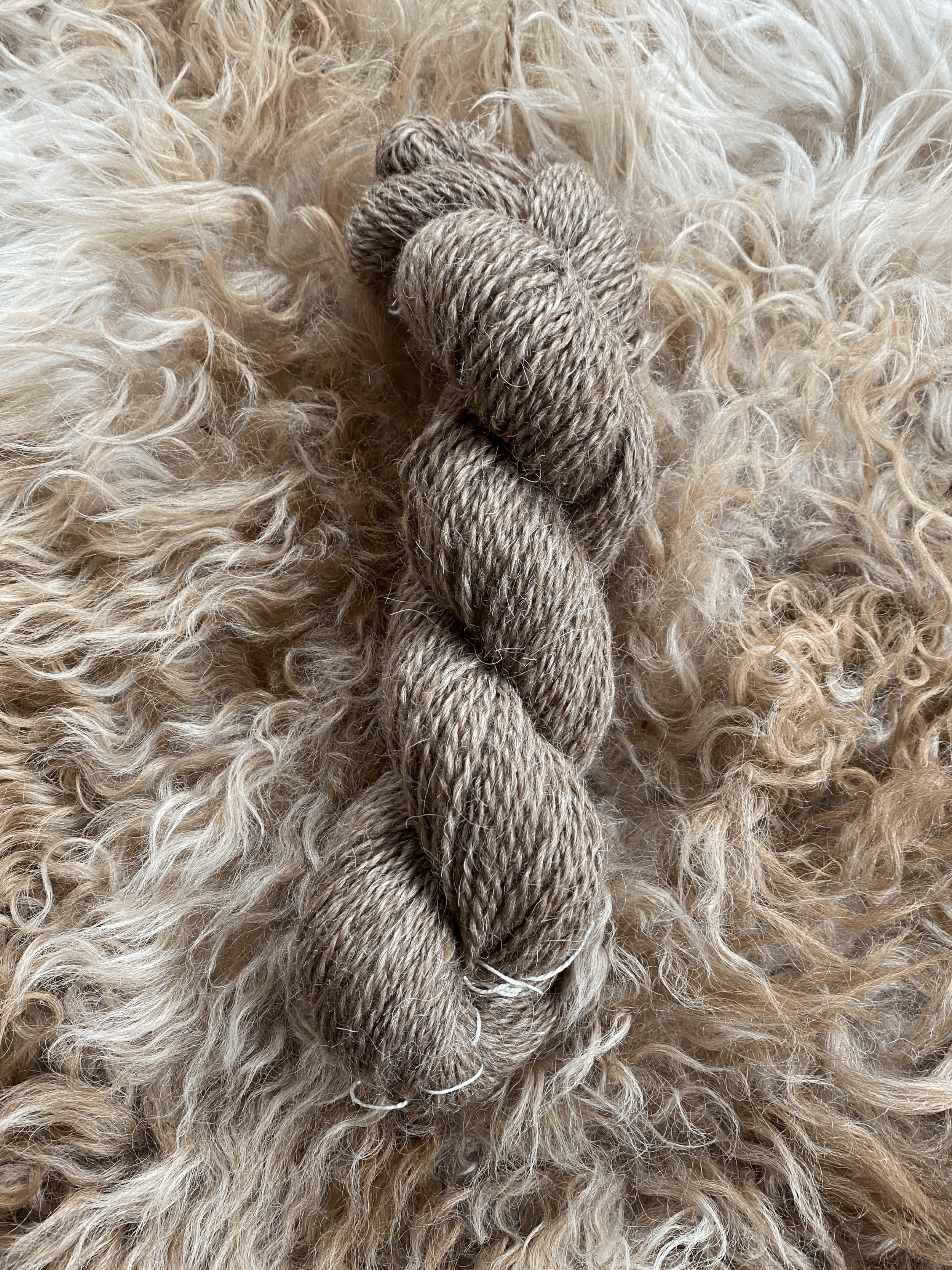 Churro Rug Yarn Sale — Tierra Wools