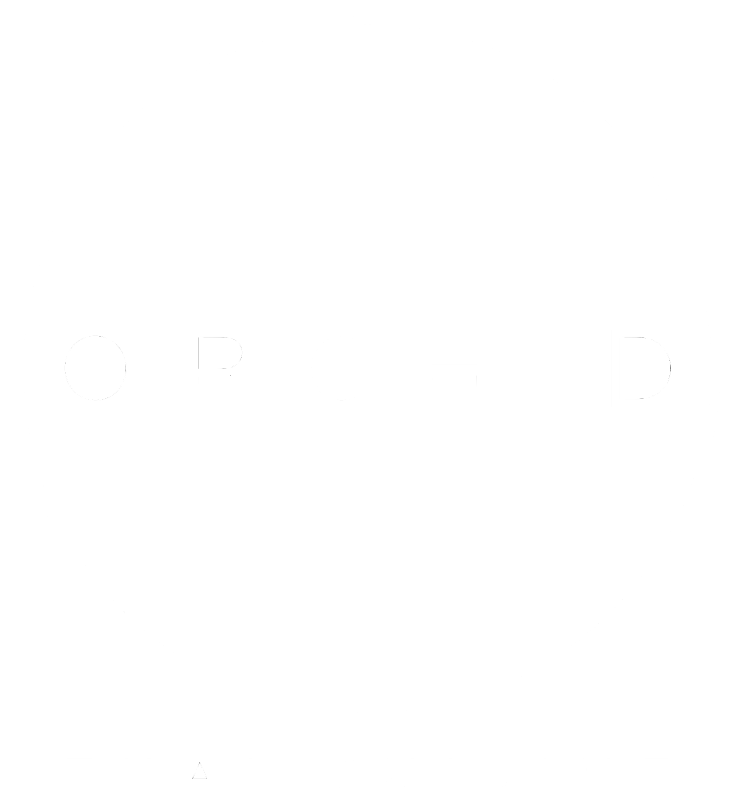 Orchid Thai Cuisine