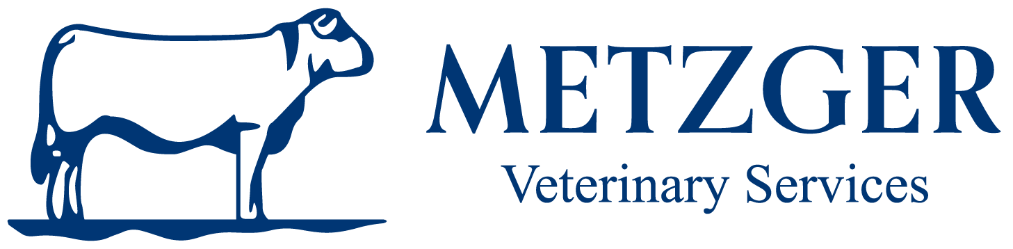 Metzger Vet | Veterinary Clinic | Linwood | Chesley | Vet Services | Livestock | Ontario | Canada