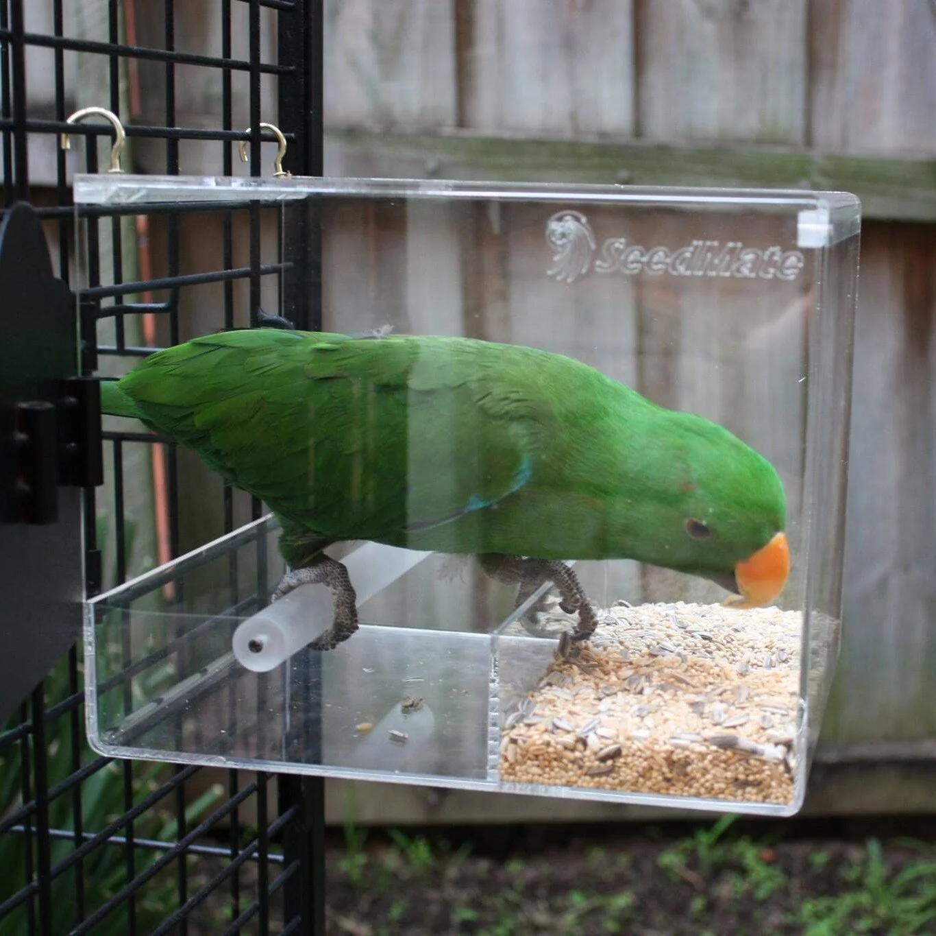 aviary bird seed feeders