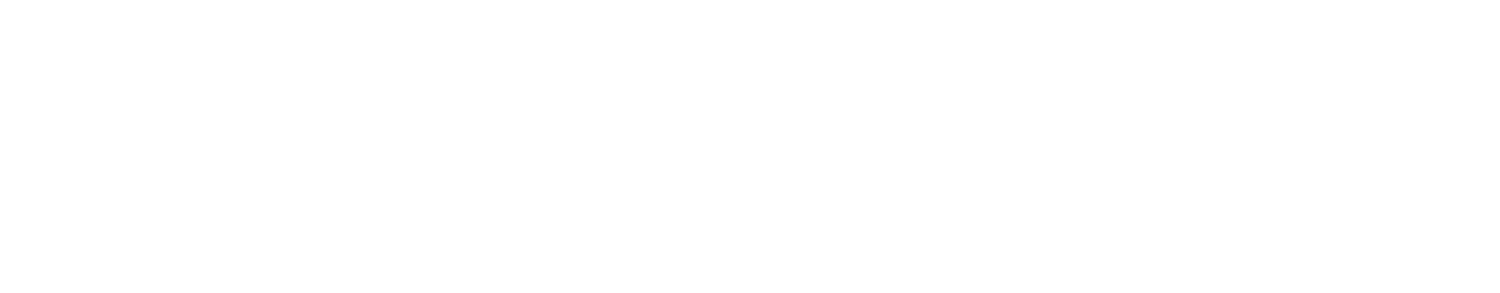 Pro Lighting & Solar