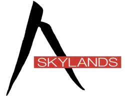 Skylands Acupuncture